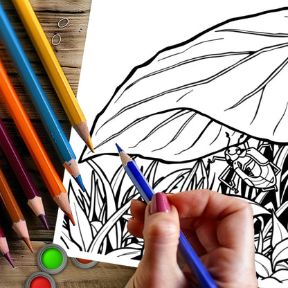 Tropical Paradise Coloring Book for Adults, Premium Drawing Supplies, Perfect Christmas Gift, Thanksgiving Present