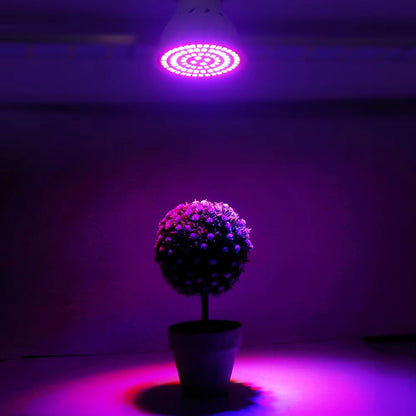 GreenGrowth FullSpectrum E27 LED Grow Bulb  6080 LEDs 220 V For Indoor Plants 5