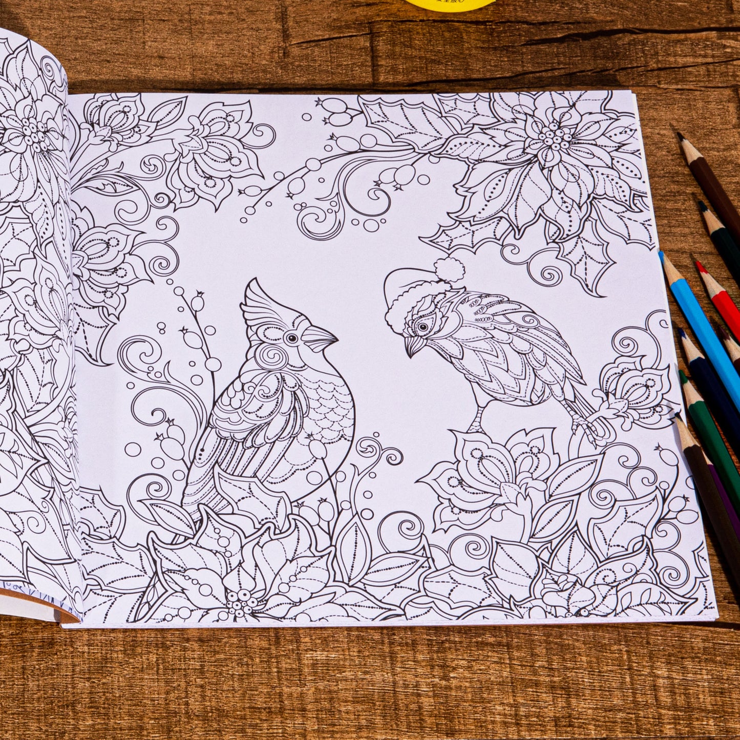 Magical Winter Coloring Book For Adults Christmas Theme Stress Relief Graffiti Painting Drawing Boo 3