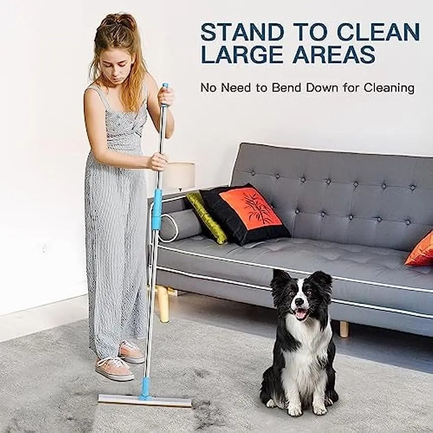 Telescopic Carpet Rake And Pet Hair Remover Set 4