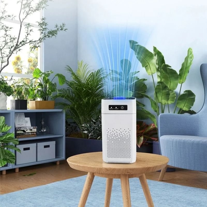 Professional Home Air Purifier With Activated Carbon Negative Ions  Quiet Formaldehyde And Odor Rem 2