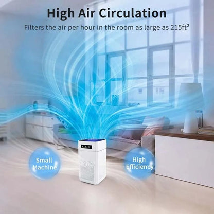 Professional Home Air Purifier With Activated Carbon Negative Ions  Quiet Formaldehyde And Odor Rem 6