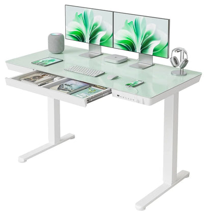 Adjustable Electric Standing Desk 48 x 24 Modern Maple Office Desk with Storage Bag and Headphone Hook