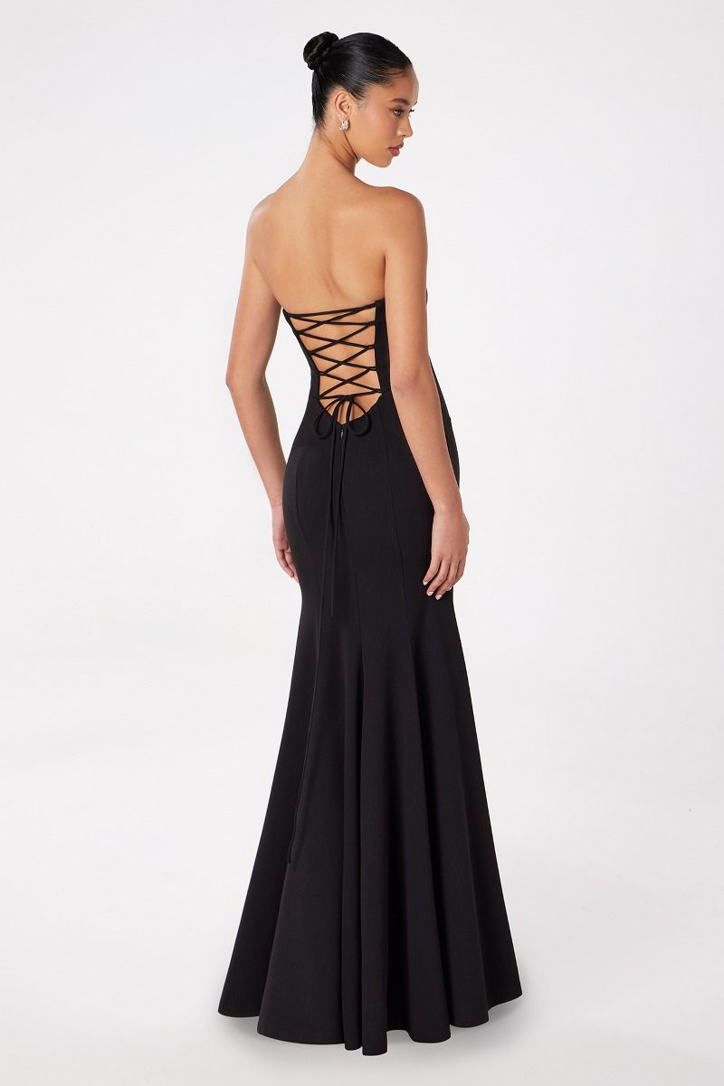 Poppy Maxi Dress Strapless Fitted Dress