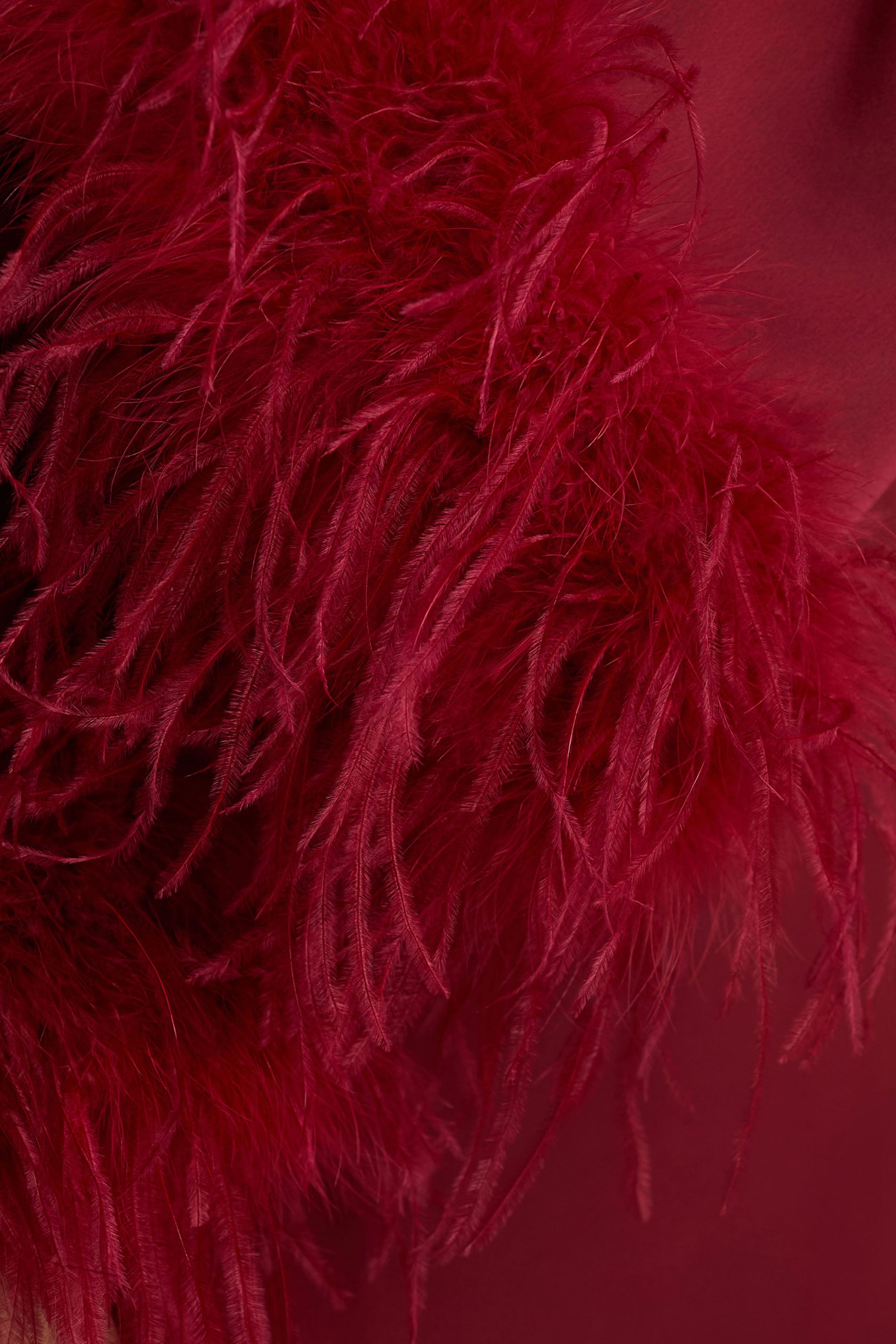 Adella | Burgundy Satin Feather-Trim Maxi Dress