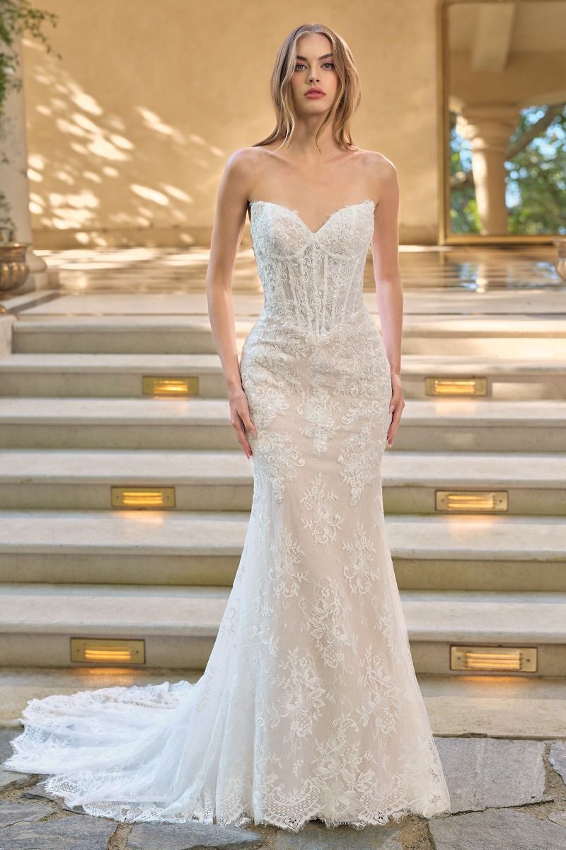 WL071 Athena Lace Mermaid Gown With Bolero Andrea & Leo