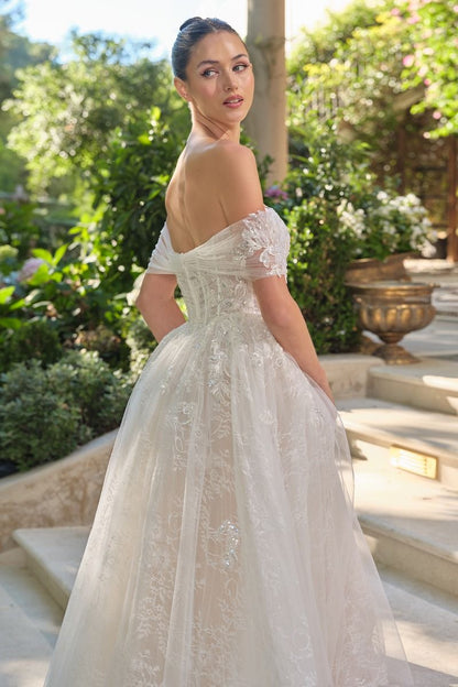 WL090 Audrey Lace Ball Gown Andrea & Leo